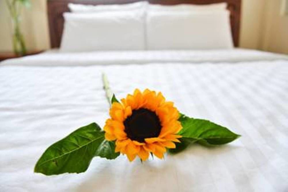 Vien Dong 2 Motel Đà Nẵng Ngoại thất bức ảnh